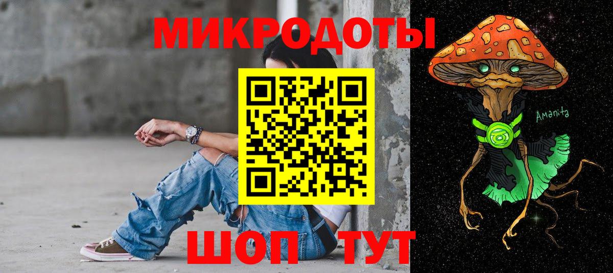 Псилоцибиновые грибы Psilocybine cubensis Ковров
