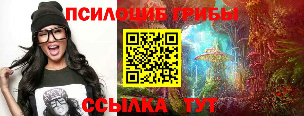 Ковров  Псилоцибиновые грибы Psilocybine cubensis  Галлюциногенные грибы мицелий  Вход с VPN 